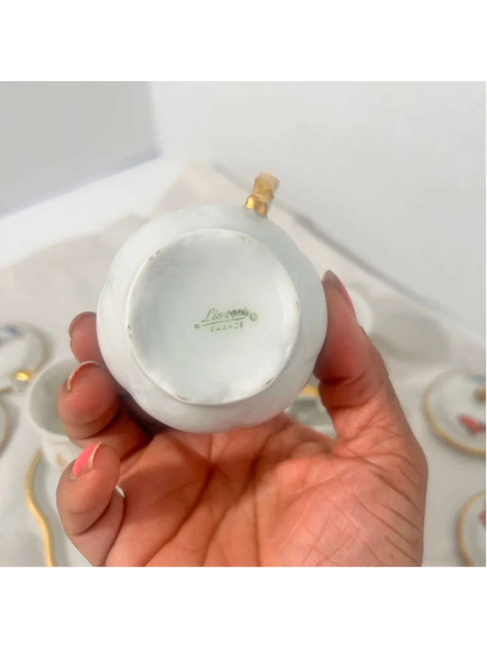 Haviland Limoges elevate your